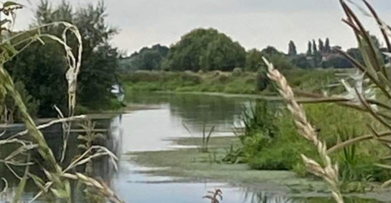 15. Rivers Parrett and Isle