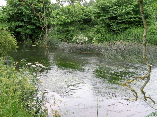 Little Canford – Dorset Stour