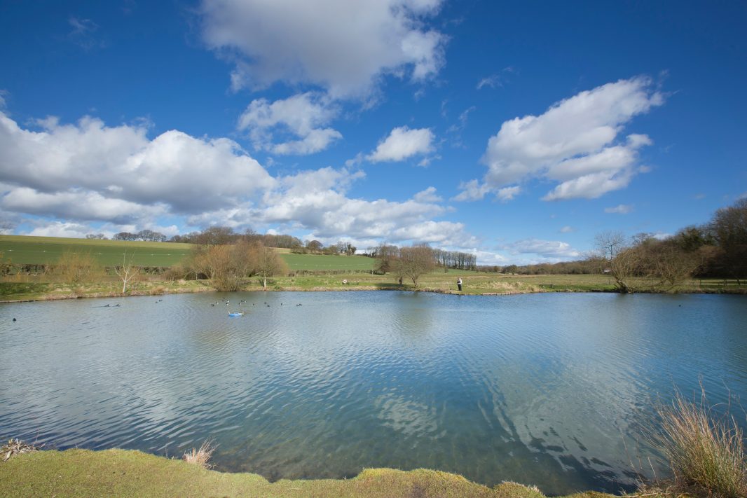 East Pond image