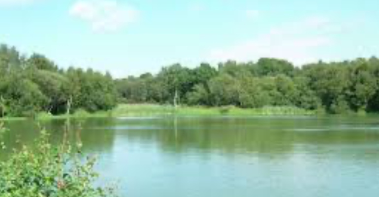 Piltdown Pond