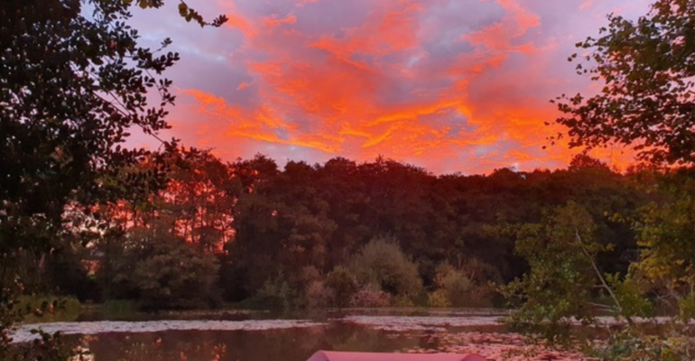 Rowfant Mill Pond