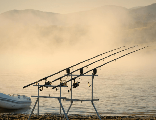 Fishing rods - mist