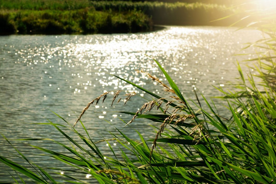 Valley river - south