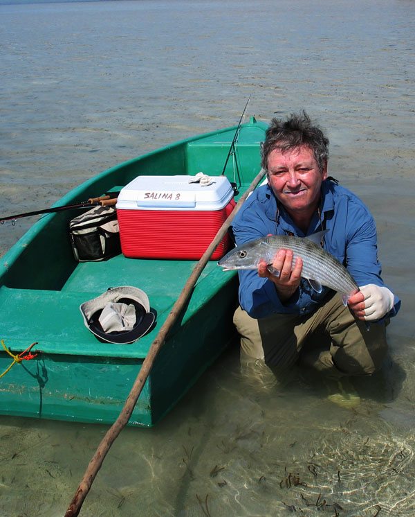 Fly Fishing for Sharks in UK Saltwaters