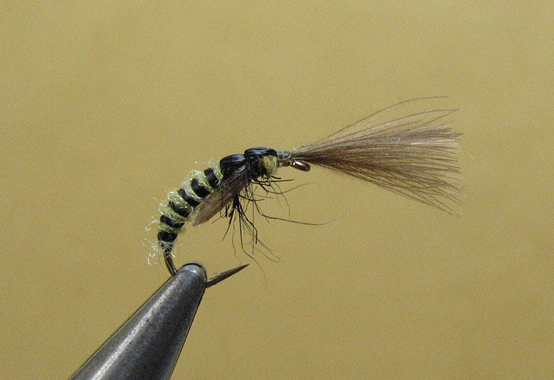 Fly tying Emerger Caddis Pupa 