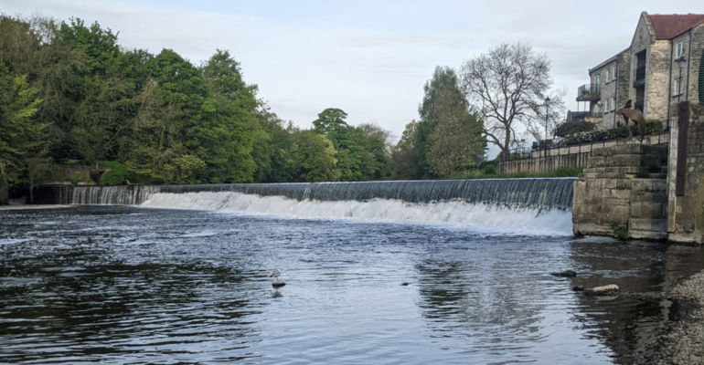 River Wharfe at Wetherby and Collingham