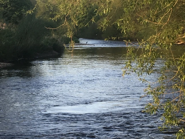 River Wharfe at Wetherby and Collingham