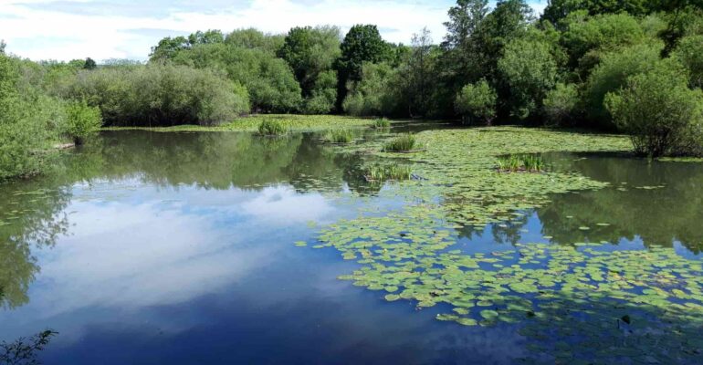 Members Lagoon near Ben Rhydding