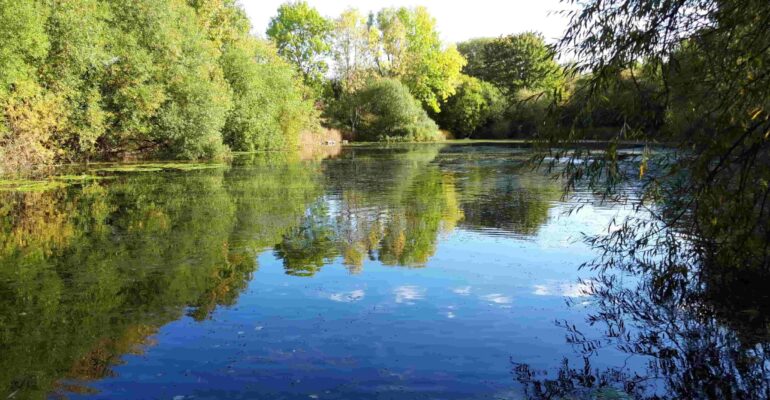 Roadside Lagoon near Ben Rhydding