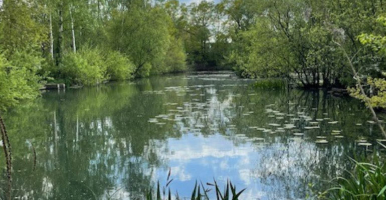 Torksey Arm Stretch