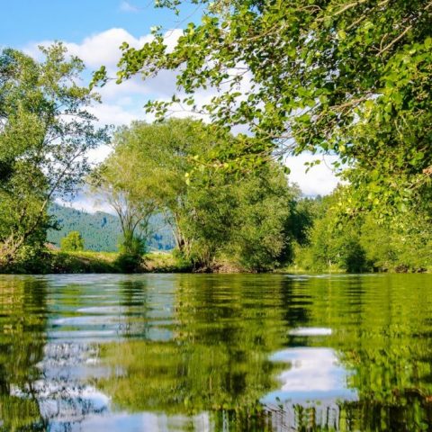 Valley River – North