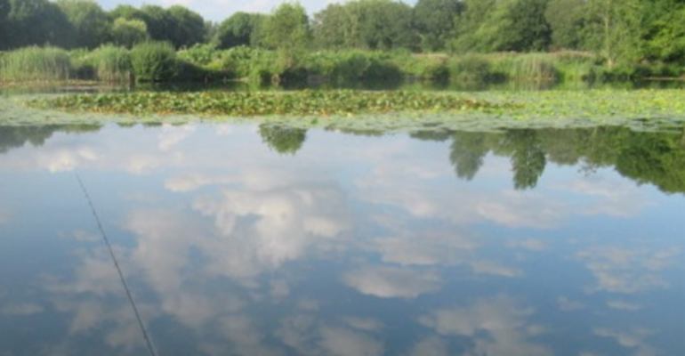 Alders Lake