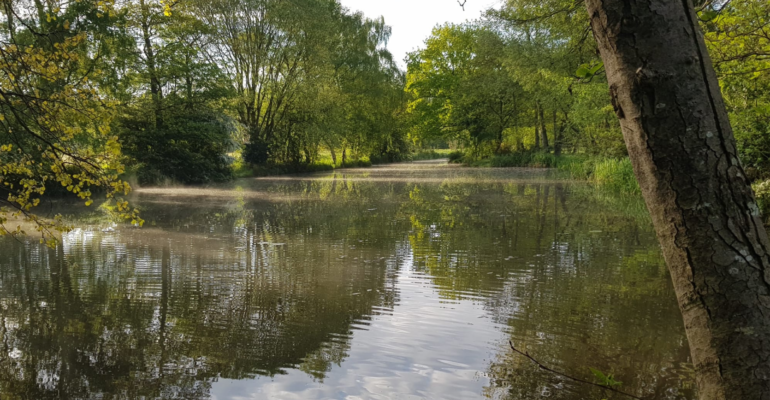 Roe Green Pond