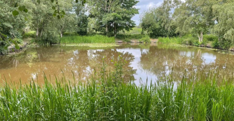 Big Moss Pond