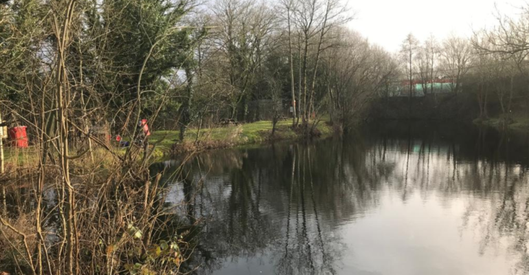 Moss Bank Farm Pond