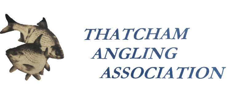 Thatcham Angling Association