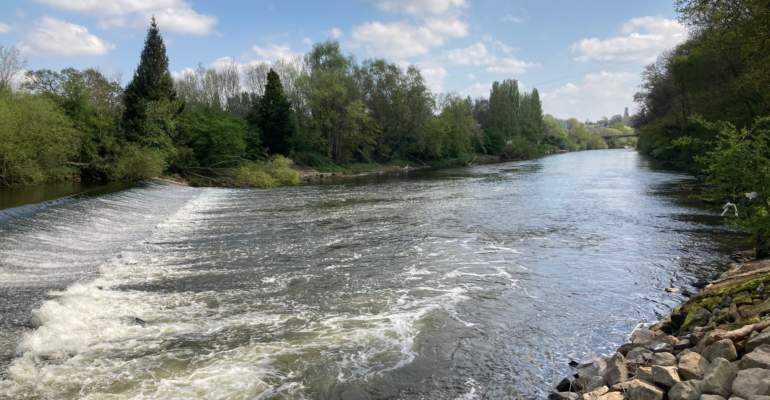 44 – River Severn – Holt Fleet