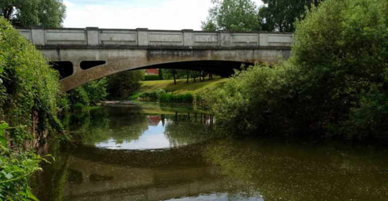 54 – River Teme – Bransford Bridge