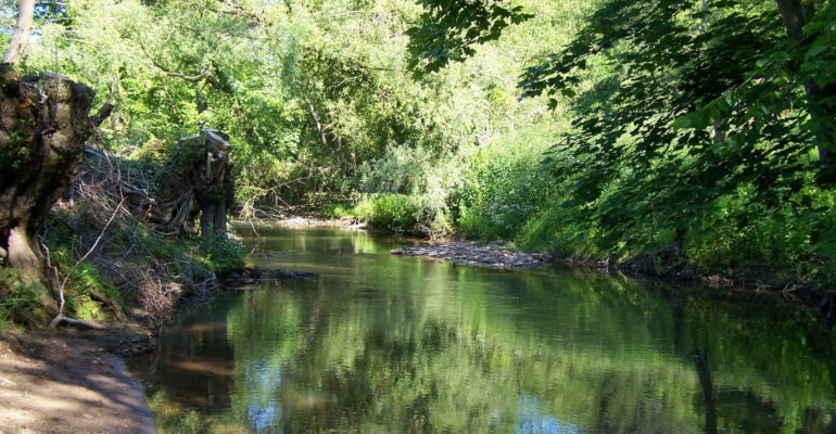 63 – Ledwyche Brook – Poughnhill Farm