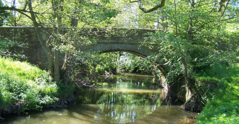 64 – Ledwyche Brook – Caynham